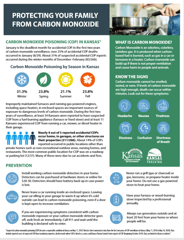 Carbon Monoxide Fact Sheet 2020 Image 